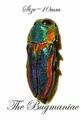 Buprestidae SC : Ctenoderus oyarcei